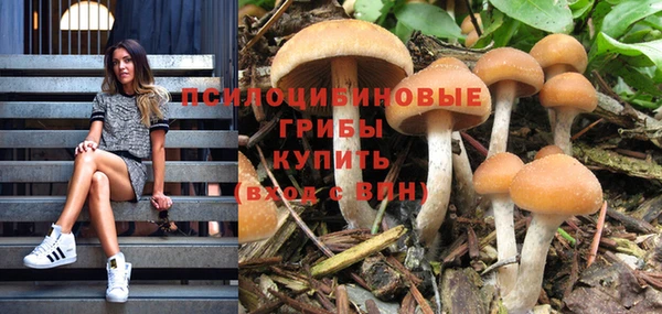 альфа пвп Михайлов